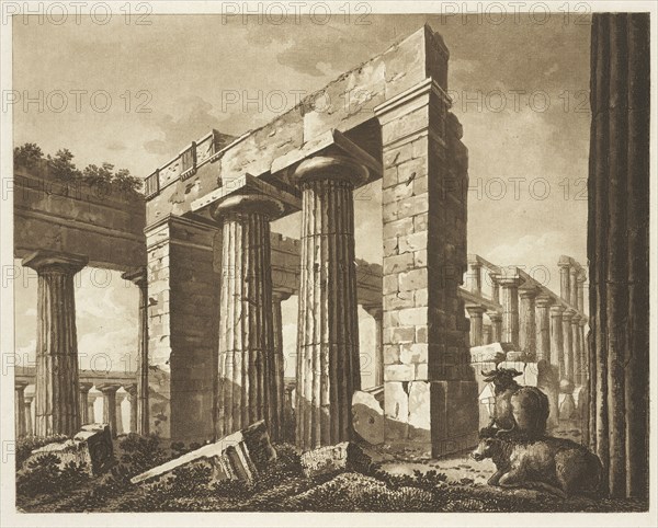 Posidonia, or Paestrum, The Antiquities of Magna Graecia, Longman, Hurst, Orme, and Rees, Watts, Richard, Wilkins, William, 1778