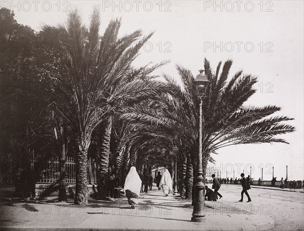 Views of Algeria, Le Roux, A., albumen, ca. 1880, views of urban and provincial Algerian sites including: Algiers, Bône