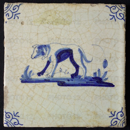 Animal tile, standing dog to the left on ground, in blue on white, corner motif oxen head, wall tile tile sculpture ceramic