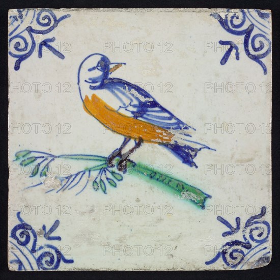 Animal tile, bird on branch to the left in orange, green and blue on white, corner pattern ossenkop, wall tile tile sculpture