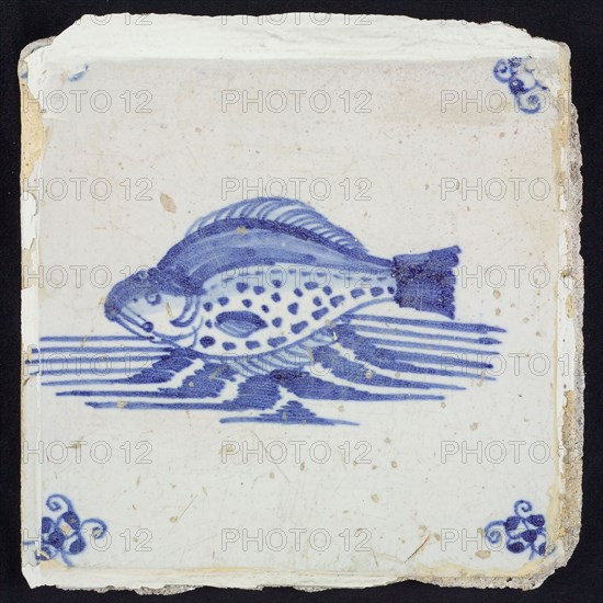 Animal tile, fish in running water to the left, in blue on white, corner motif spider, wall tile tile footage ceramic