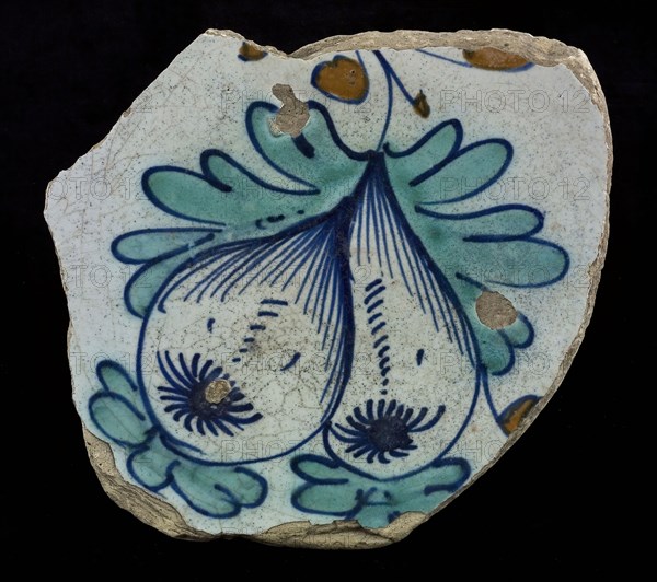 Fragment majolica dish, green and blue on white, pointy pears, plate crockery holder soil find ceramic earthenware glaze, Cooked