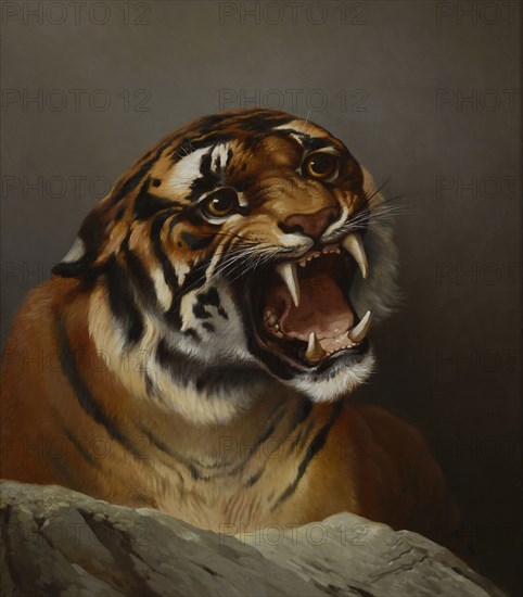 Daniel Adolphe Robert Jones, Portrait of tiger Atyr, portrait painting visual material linen oil paint, H. Martin. .R. Jones