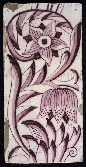 Rectangular edge tile in purple with sling decor of speckled tulip, flower with ten triangular petals, leaves, type of tulip