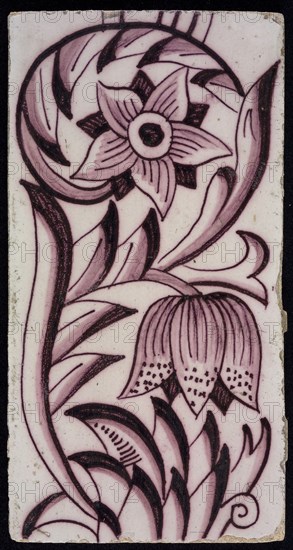 Rectangular edge tile in purple with sling decor of speckled tulip, flower with ten triangular petals, leaves, type of tulip