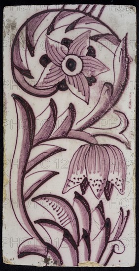 Rectangular edge tile in purple with sling decor of speckled tulip, flower with ten triangular petals, leaves, type of tulip