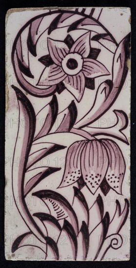 Rectangular edge tile in purple with sling decor of speckled tulip, flower with ten triangular petals, leaves, type of tulip