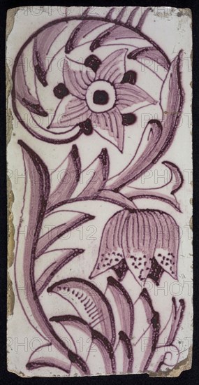 Rectangular edge tile in purple with sling decor of speckled tulip, flower with ten triangular petals, leaves, type of tulip