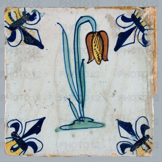 Tile, flower on ground in yellow, brown, green and blue on white, corner pattern french lily, corner point yellow, wall tile