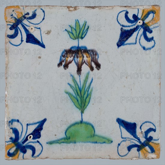 Tile, flower on ground in yellow, brown, green and blue on white, corner pattern french lily, corner point yellow, wall tile