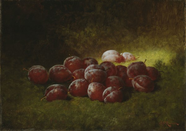 Purple Plums, 1895, Cadurcis Plantagenet Ream, American, 1838–1917, United States, Oil on canvas, 40.6 × 55.9 cm (16 × 22 in.)