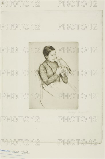 The Parrot, 1891, Mary Cassatt, American, 1844-1926, United States, Drypoint on cream laid paper, 159 x 119 mm (image/plate), 315 x 239 mm (sheet)