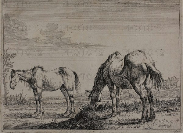 Grazing Horse, plate three from Series of Horses, 1651, Dirck Stoop, Dutch, 1610-1686, Netherlands, Etching on grayish-ivory China paper, 149 x 196 mm (plate), 155 x 202 mm (sheet)