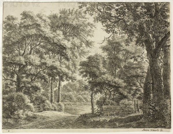 The Parts of the Wood Newly Cut, n.d., Anthoni Waterlo, Dutch, 1609-1690, Holland, Etching on paper, 214 x 284 mm (image), 222 x 285 mm (sheet)