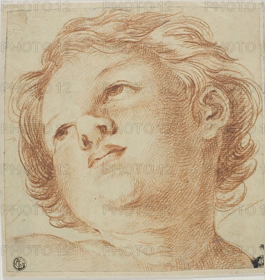 Head of Putto, after 1611/12, After Guido Reni, Italian, 1575-1642, Italy, Red chalk on cream laid paper, laid down on cream card, 194 x 189 mm