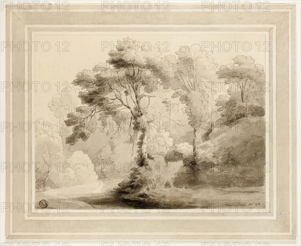 Wooded Landscape, 1774, Francis Towne, English, 1739/40-1816, England, Pen and black ink, with brush and gray wash, on cream laid paper, laid down on cream laid card, 195 × 259 mm