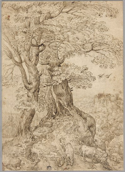 Wooded Landscape with Donkeys and Goats, and Castle on Hill in Distance, 1569, after Pieter Bruegel, the elder, Flemish, 1525/30-1569, Flanders, Pen and brown ink on cream laid paper, 345 × 246 mm