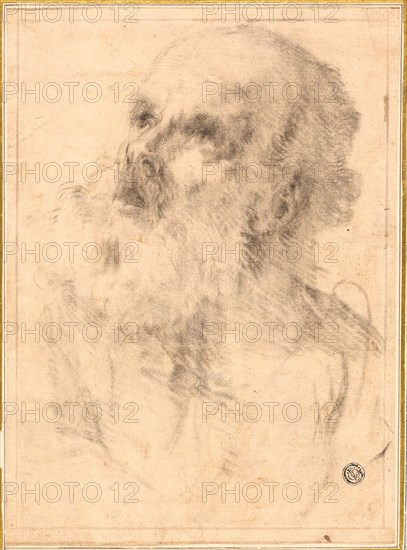 Head of an Old Man, n.d., Bartolomé Estéban Murillo, Spanish, 1618-1682, Spain, Black chalk transfer on ivory laid paper, tipped onto ivory card, 249 x 182 mm