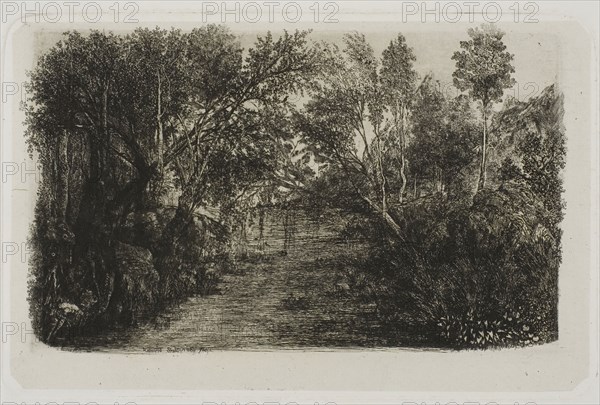 The Creek, 1880, Rodolphe Bresdin, French, 1825-1885, France, Etching and roulette on light gray China paper laid down on white wove paper, 130 × 205 mm (chine), 134 × 209 mm (plate), 318 × 449 mm (sheet)