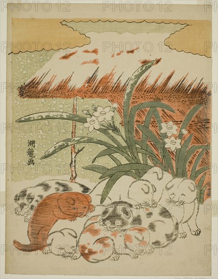 Puppies in the Snow, c. 1773, Isoda Koryusai, Japanese, 1735-1790, Japan, Color woodblock print, chuban, 10 3/8 x 7 3/4 in.