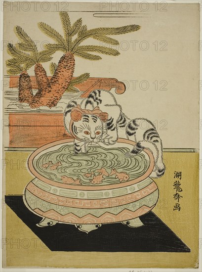 Cat Pawing at Goldfish, c. early 1770s, Isoda Koryusai, Japanese, 1735-1790, Japan, Color woodblock print, chuban, 19.7 cm x 26.6 cm (10 1/2 x 7 3/4 in.)