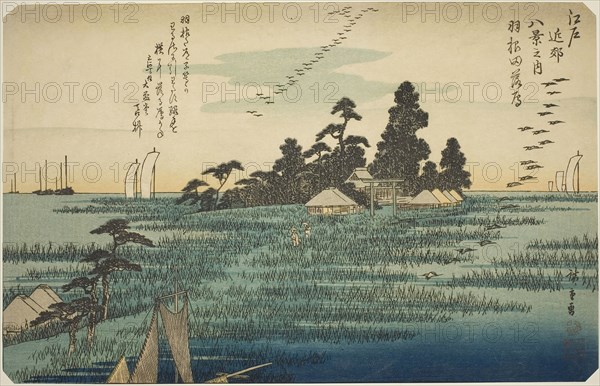 Descending Geese at Haneda (Haneda no rakugan), from the series Eight Views in the Environs of Edo (Edo kinko hakkei no uchi), c. 1837/38, Utagawa Hiroshige ?? ??, Japanese, 1797-1858, Japan, Color woodblock print, oban, 9 x 14 3/4 in.
