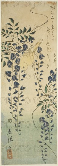 Canary and wisteria, 1865, Utagawa Hiroshige II (Shigenobu), Japanese, 1826–1869, Japan, Color woodblock print, chutanzaku, 35.8 x 12.2 cm (14 x 4 1/4 in.)