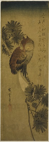 Small-horned owl, pine, and crescent moon, 1830s, Utagawa Hiroshige ?? ??, Japanese, 1797-1858, Japan, Color woodblock print, chutanzaku, 14 3/4 x 5 1/8 in.