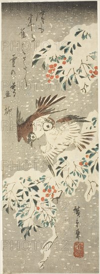 Sparrows Flitting about Snow-covered Nandina as More Snow Falls, c. 1840, Utagawa Hiroshige ?? ??, Japanese, 1797–1858, Japan, Color woodblock print, chu-tanzaku, 32 x 11.2 cm