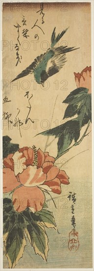 Swallow and hibiscus, c. 1830s, Utagawa Hiroshige ?? ??, Japanese, 1797-1858, Japan, Color woodblock print, aitanzaku, 31.3 x 10.6 cm (12 1/2 x 4 1/4 in.)