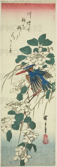 Kingfisher and viburnum, 1840s, Utagawa Hiroshige ?? ??, Japanese, 1797-1858, Japan, Color woodblock print, chutanzaku, 13 5/8 x 4 1/2 in.