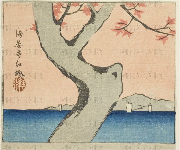 Maple Leaves at Kaian Temple (Kaianji benikaede), section of a sheet from the series Cutout Pictures of Famous Places in Edo (Edo meisho harimaze zue), 1857, Utagawa Hiroshige ?? ??, Japanese, 1797-1858, Japan, Color woodblock print, section of harimaze sheet, 13.3 x 15.3 cm