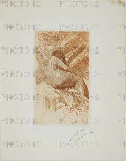 Nude Study, 1884, Anders Zorn, Swedish, 1860-1920, Sweden, Etching in brown ink on white wove paper, 182 x 106 mm (image), 203 x 123 mm (plate), 315 x 246 mm (sheet)