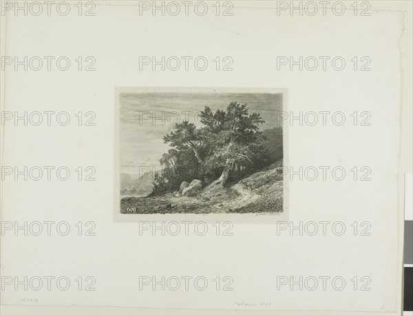 Alpine Landscape, n.d., Alexandre Calame, Swiss, 1810-1864, Switzerland, Etching on paper, 110 x 148 mm (image), 124 x 160 mm (plate), 275 x 360 mm (sheet)