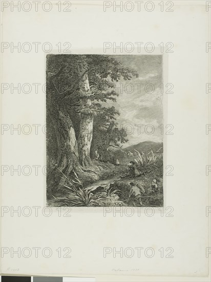 Alpine Landscape, n.d., Alexandre Calame, Swiss, 1810-1864, Switzerland, Etching on paper, 203 x 156 mm (image), 221 x 164 mm (plate), 359 x 277 mm (sheet)