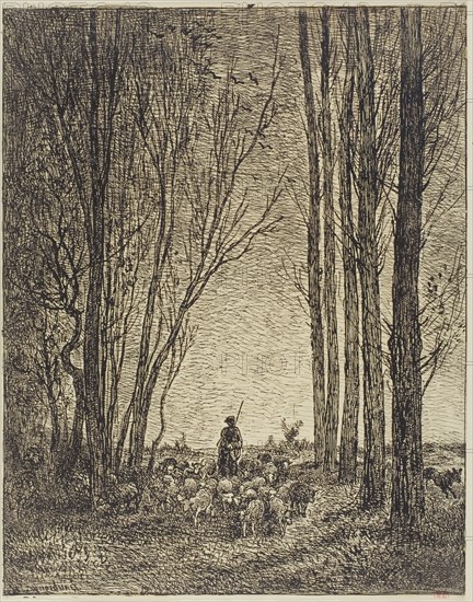 Return of the Flock, 1862, Charles François Daubigny, French, 1817-1878, France, Cliche-verre on ivory photographic paper, 342 × 270 mm (image), 344 × 270 mm (sheet)