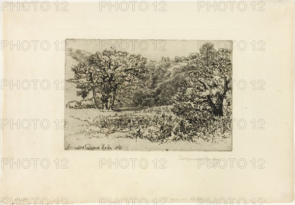 The Herd, 1868, Francis Seymour Haden, English, 1818-1910, England, Etching on cream laid paper, 139 × 209 mm (image/plate), 256 × 363 mm (sheet)