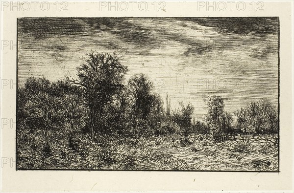 Edge of a Wood, under Cloudy Sky, 1846, Charles Émile Jacque, French, 1813-1894, France, Etching on paper, 74 × 126 mm (image), 90 × 139 mm (chine), 91 × 141 mm (plate), 151 × 195 mm (sheet)