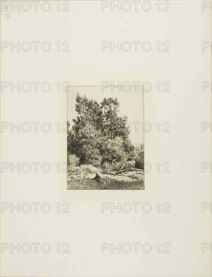 Landscape with Cowherd, c. 1865, Charles Émile Jacque, French, 1813-1894, France, Etching on ivory laid paper, 168 × 125 mm (image), 197 × 149 mm (plate), 447 × 343 mm (sheet)