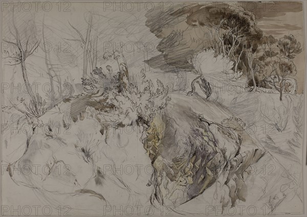 Shrubs and Trees in Rocky Landscape, c. 1845, John Ruskin, English, 1819-1900, England, Pen and brown ink, with brush and watercolor, over graphite, on ivory wove paper, 140 × 215 mm