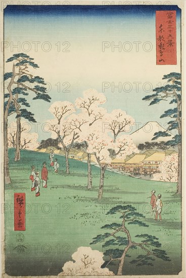 Asuka Hill in the Eastern Capital (Toto Asukayama), from the series Thirty-six Views of Mount Fuji (Fuji sanjurokkei), 1858, Utagawa Hiroshige ?? ??, Japanese, 1797-1858, Japan, Color woodblock print, oban, 34.6 x 23 cm (13 5/8 x 9 1/16 in.)