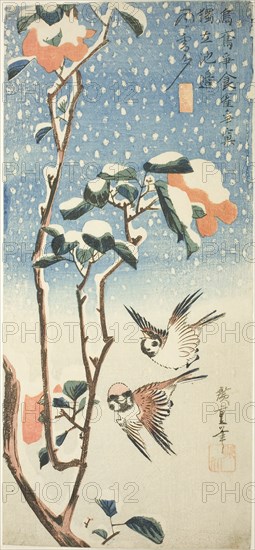 Sparrows and Camellia in Snow, c. 1831/33, Utagawa Hiroshige ?? ??, Japanese, 1797–1858, Japan, Color woodblock print, o-tanzaku, 38 x 17.3 cm