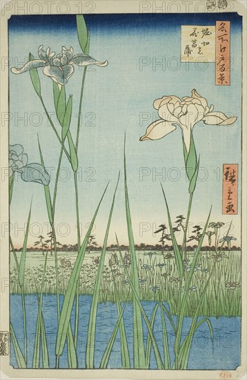 Irises at Horikiri (Horikiri no hanashobu), from the series One Hundred Famous Views of Edo (Meisho Edo hyakkei), 1857, Utagawa Hiroshige ?? ??, Japanese, 1797-1858, Japan, Color woodblock print, oban