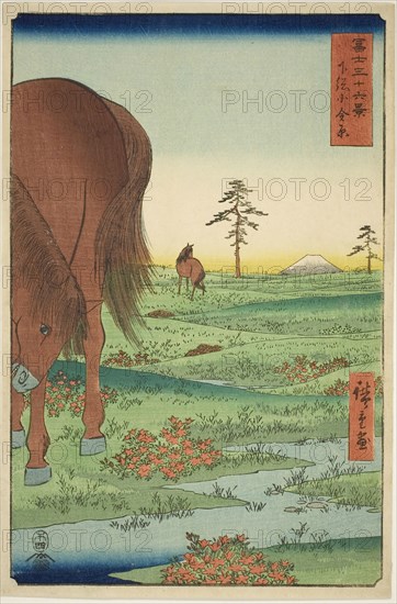 Kogane Plain in Shimosa Province (Shimosa Koganehara), from the series Thirty-six Views of Mount Fuji (Fuji sanjurokkei), 1858, Utagawa Hiroshige ?? ??, Japanese, 1797-1858, Japan, Color woodblock print, oban, 34.9 x 23.1 cm (13 3/4 x 9 1/16 in.)