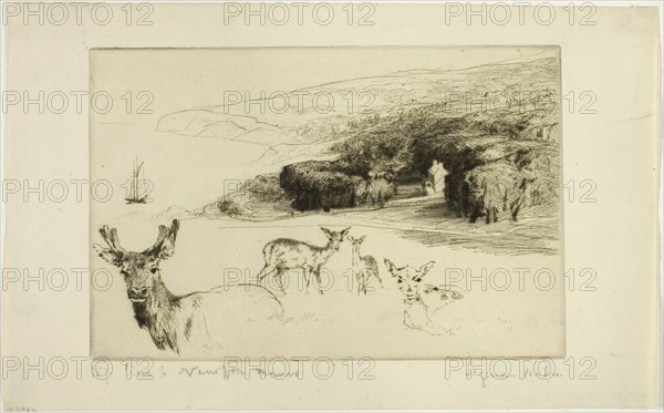 Newton Manor, c. 1877, Francis Seymour Haden, English, 1818-1910, England, Drypoint on ivory laid paper, 150 × 226 mm (image/plate), 193 × 311 mm (sheet)