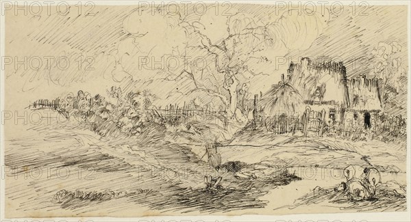 Country Landscape, n.d., Rodolphe Bresdin, French, 1825-1885, France, Pen and black ink, on cream tracing paper, laid down on ivory wove paper, 85 × 160 mm