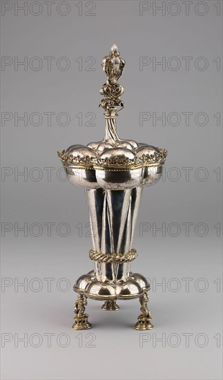 Beaker with Cover, c. 1500, German, Nuremburg or Augsburg, Germany, Parcel-gilt silver, H: 41.9 cm (16 1/2 in.)