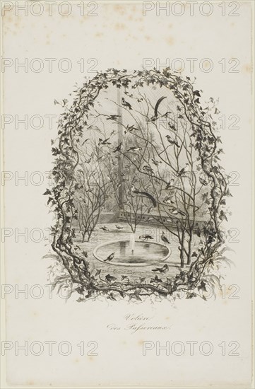 The Sparrow Aviary, 1843, Charles François Daubigny, French, 1817-1878, France, Etching on white wove paper, 272 × 176 mm
