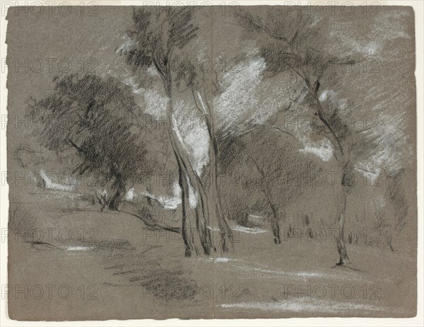 Landscape with Trees, n.d., Jean Baptiste Carpeaux, French, 1827-1875, France, Black and white chalk on gray wove paper, 122 × 159 mm