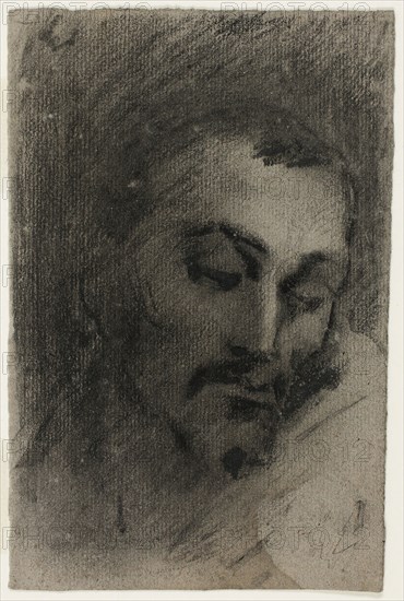 Head of a Man, n.d., Jean Baptiste Carpeaux, French, 1827-1875, France, Black chalk and black crayon, with stumping, on gray laid paper, 154 × 103 mm